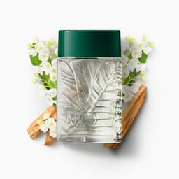 Arbo Desodorante Colônia 100ml O Boticário