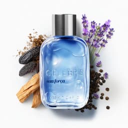 Celebre Sua Força Desodorante Colônia Masculino 100ml O Boticário