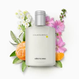 Insensatez Desodorante Colônia 100ml O Boticário