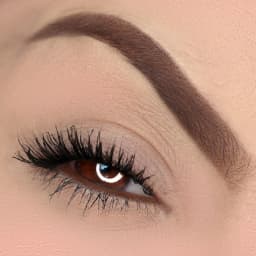 Lapiseira Para Olhos Cat Lovers Marrom 240mg Vizzela