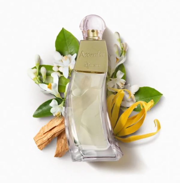 accordes perfume