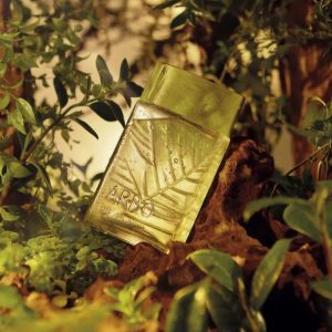 Perfume Arbo Forest